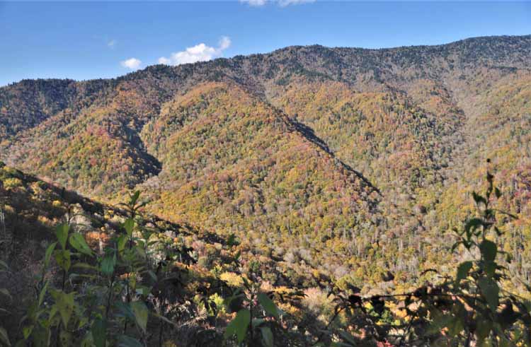 mountain vista